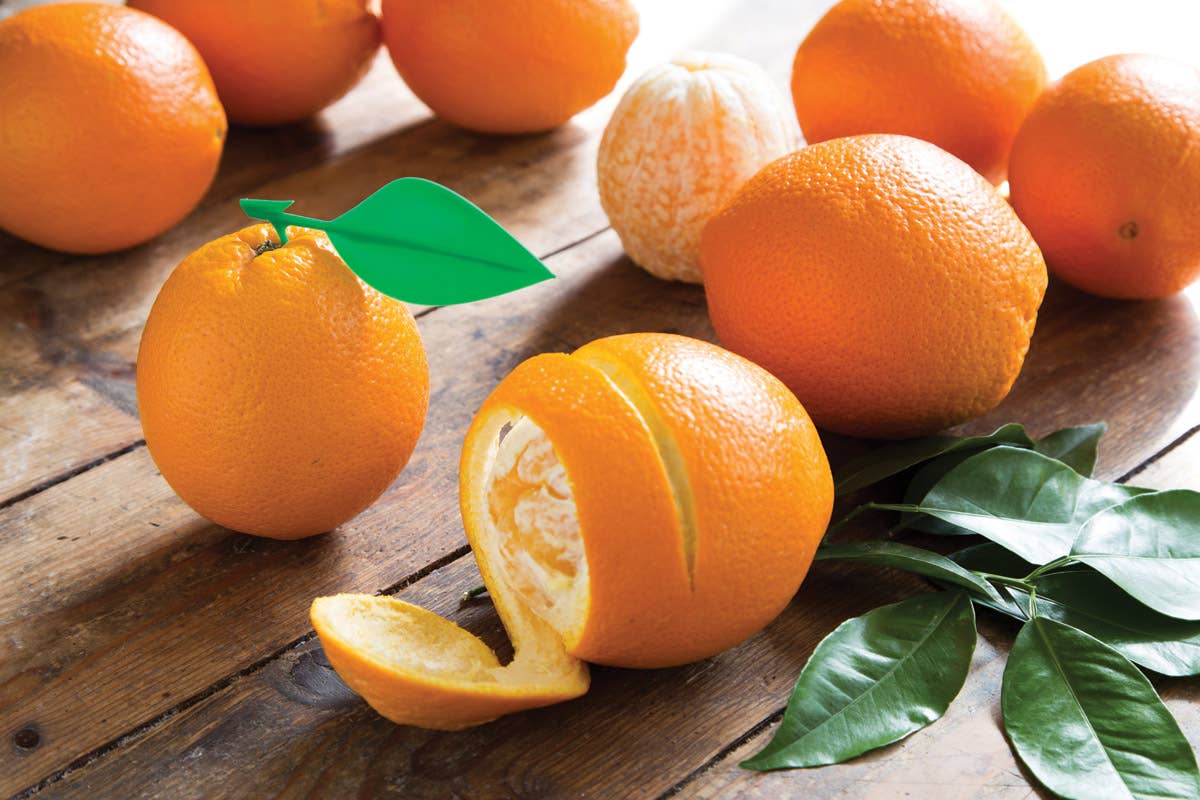 Peel Appeal | Orange Peeler