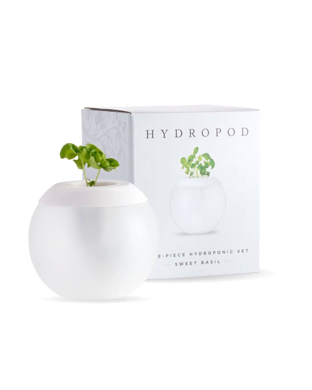 The Hydropod Plant Grower - Sweet Basil