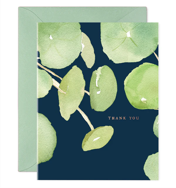 Pancake Plant Thank You Notes - Box of 6