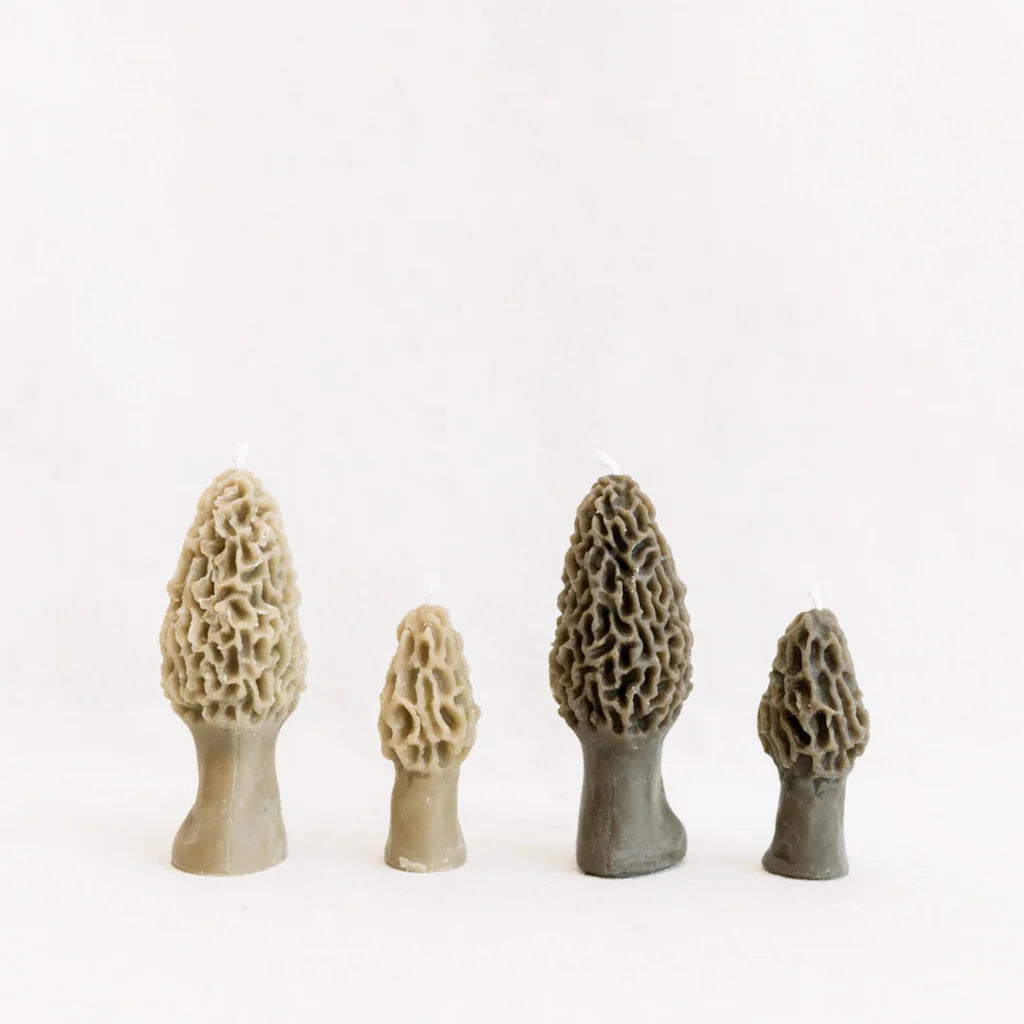 Beeswax Morel Mushroom Candle 2-pack