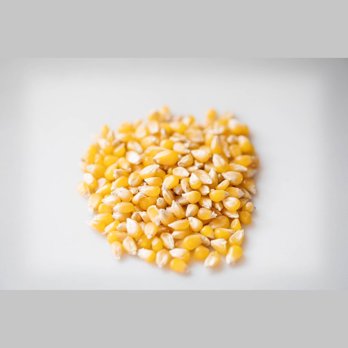 14oz Bottle of Ladyfinger Popcorn
