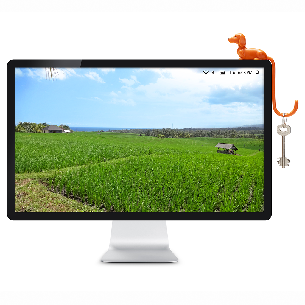 Rusty | Screen Hook
