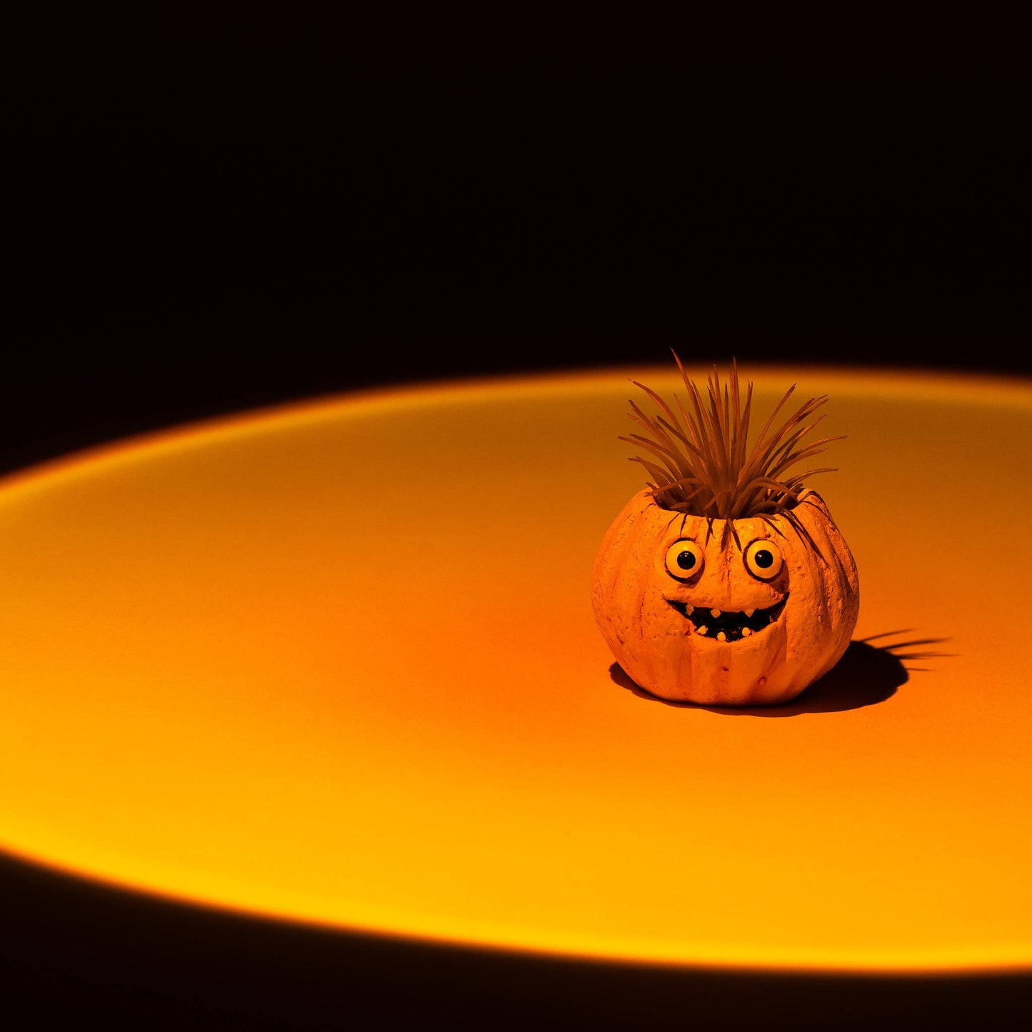 Snickers Mini Blobhouse Pumpkin Planter