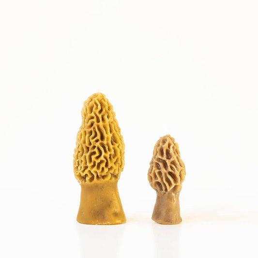 Beeswax Morel Mushroom Candle 2-pack
