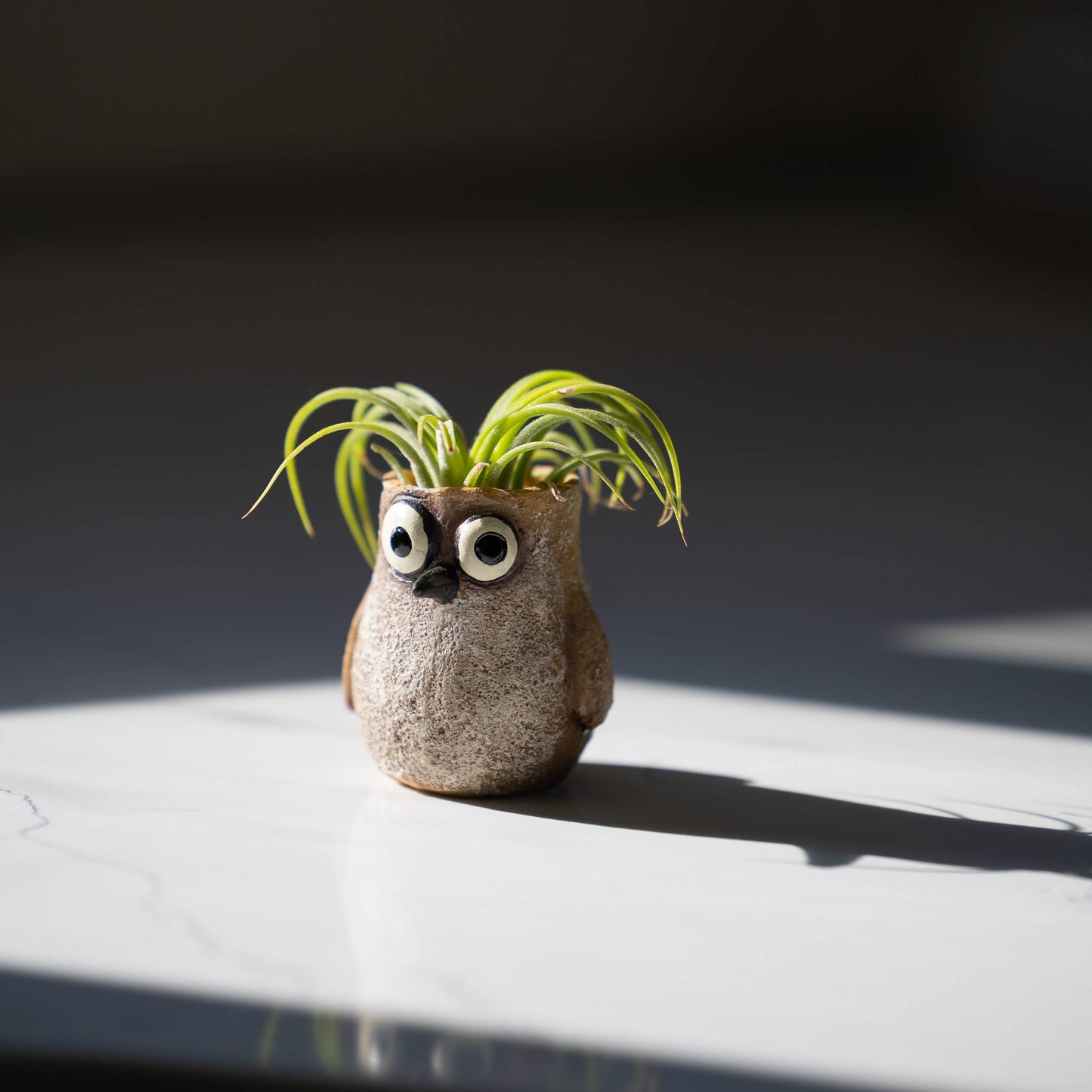 Speck the Baby Sandpiper Blobhouse Planter