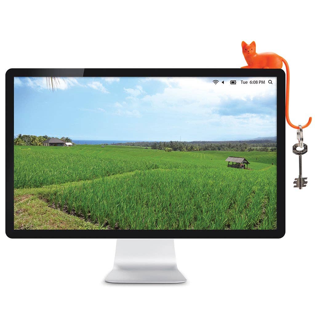 Cat Tail Hook For Computer Accessories | Ginger