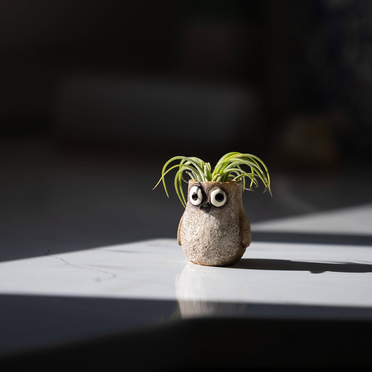 Speck the Baby Sandpiper Blobhouse Planter