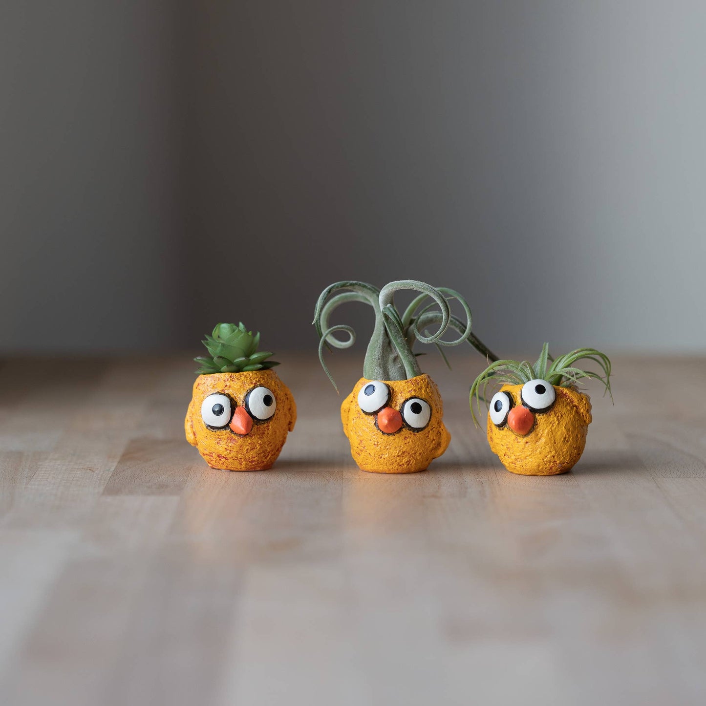The Chickies - 3 piece Baby Chick Blobhouse Planters
