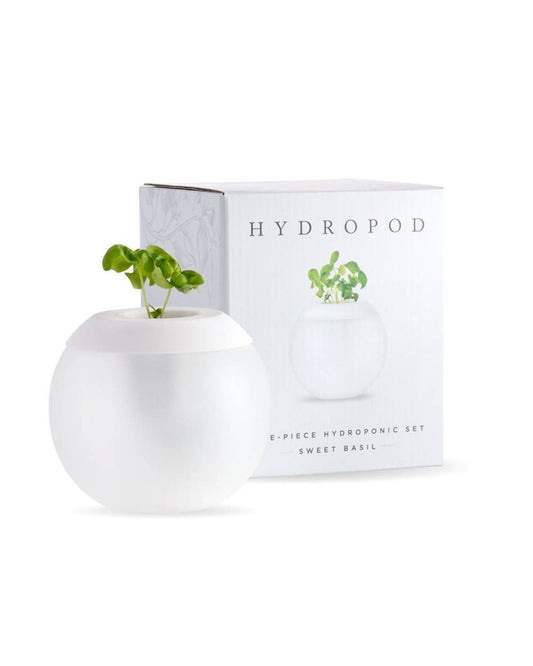 The Hydropod Plant Grower - Sweet Basil