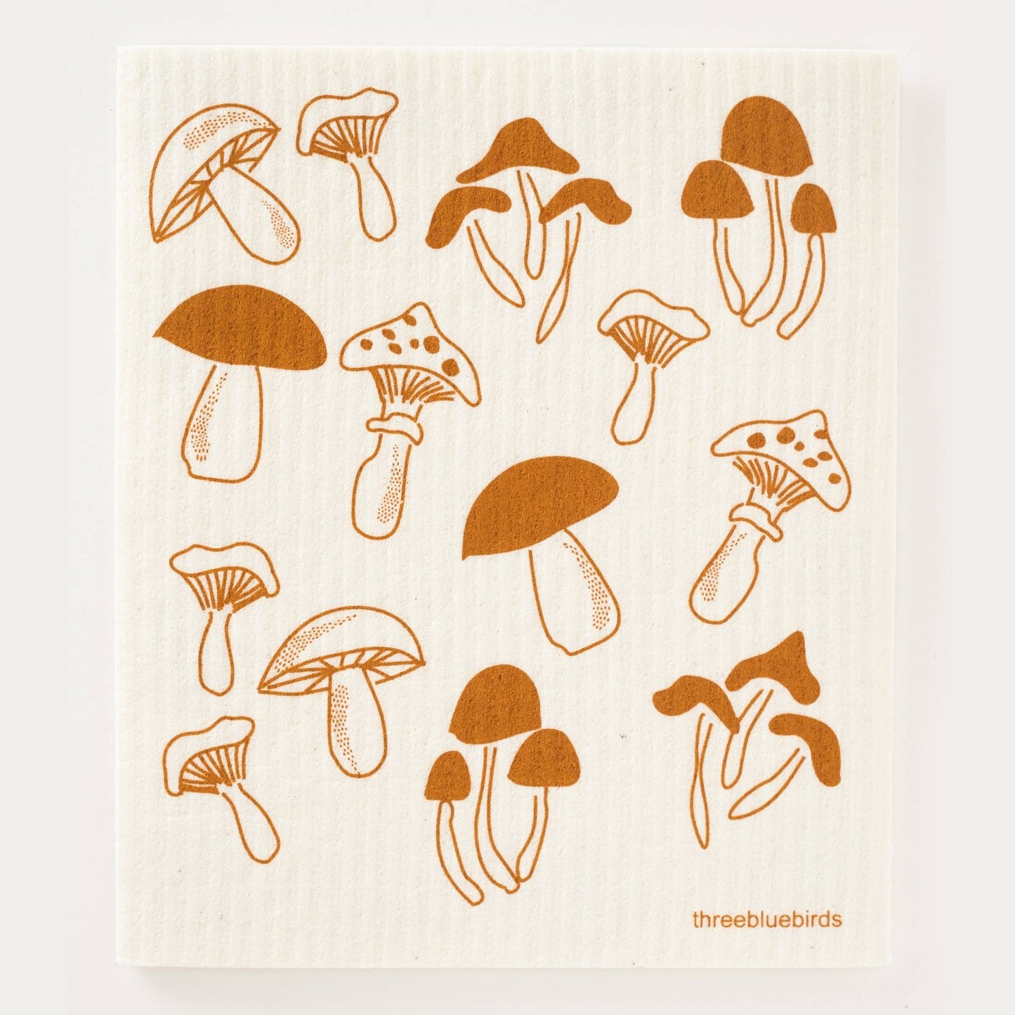 Fungi on White Swedish Dishcloth