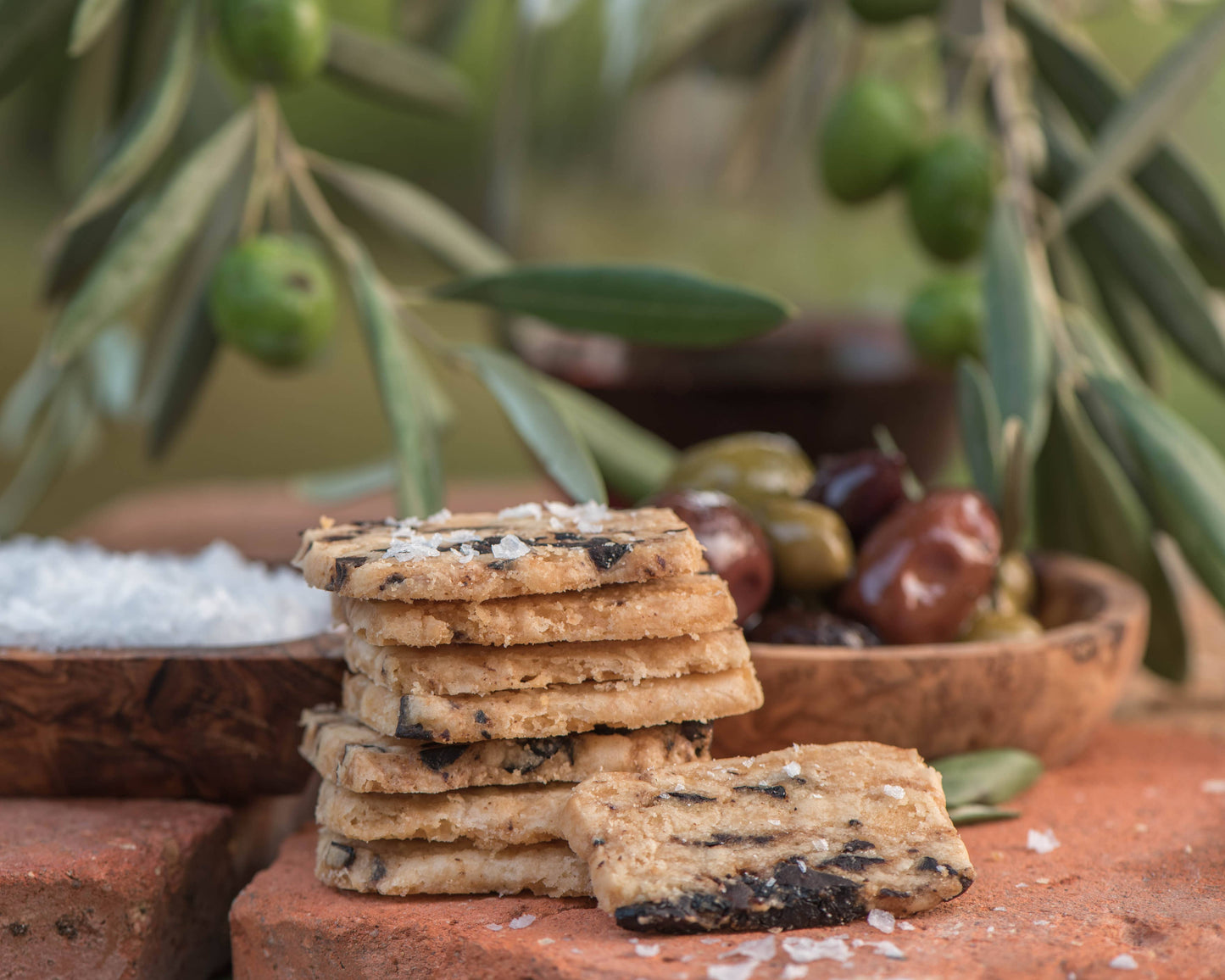 Olive Scourtin Savory Biscuit
