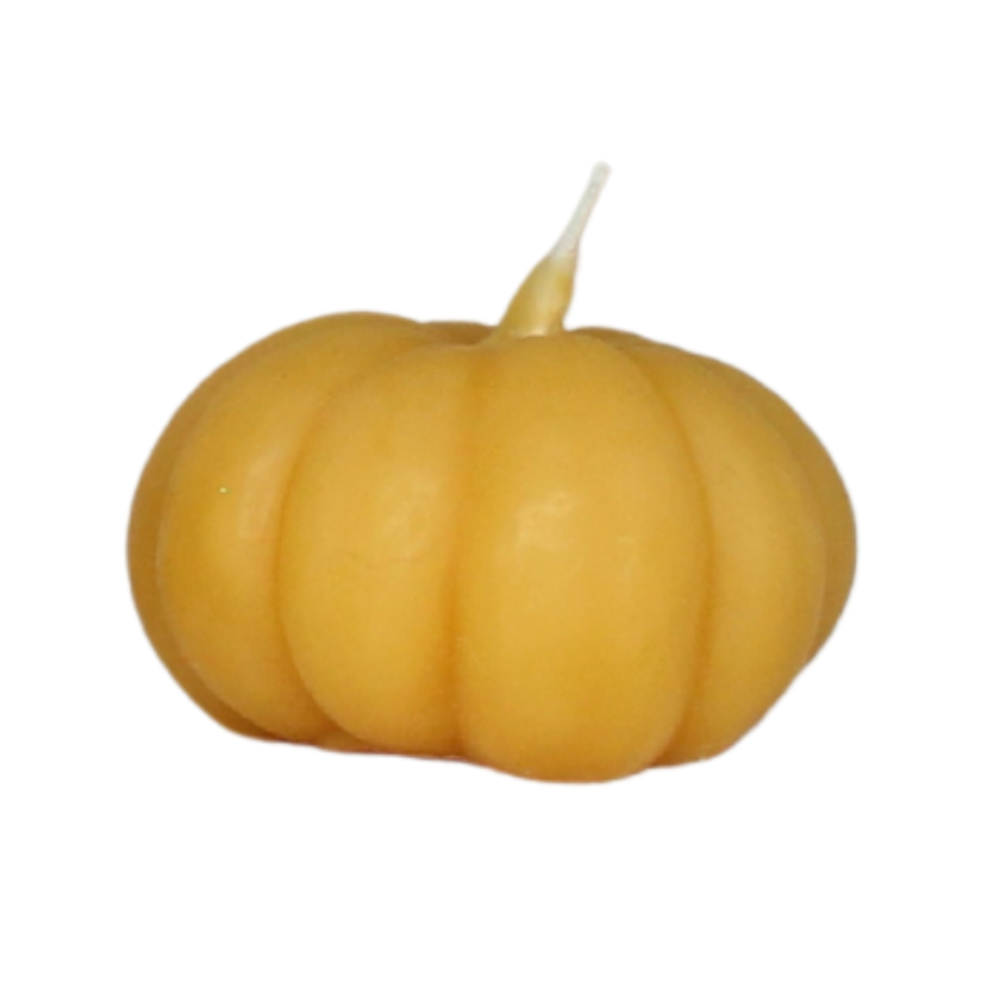 Sweet Maiz - Pumpkin Beeswax Candle - Small