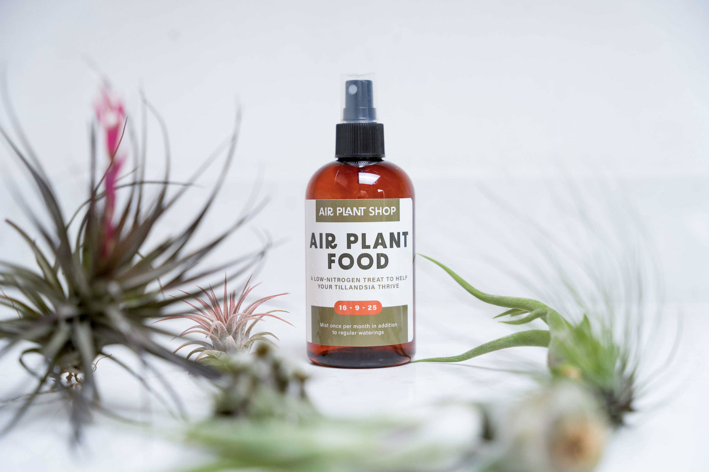 Ready-To-Use Tillandsia Air Plant Fertilizer