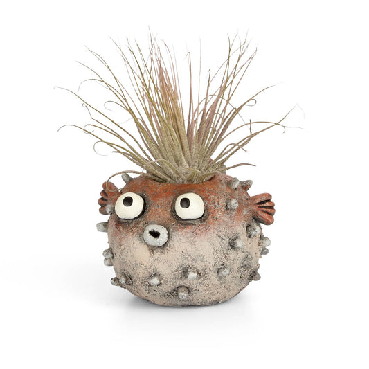 Sushi Blowfish Blobhouse Planter