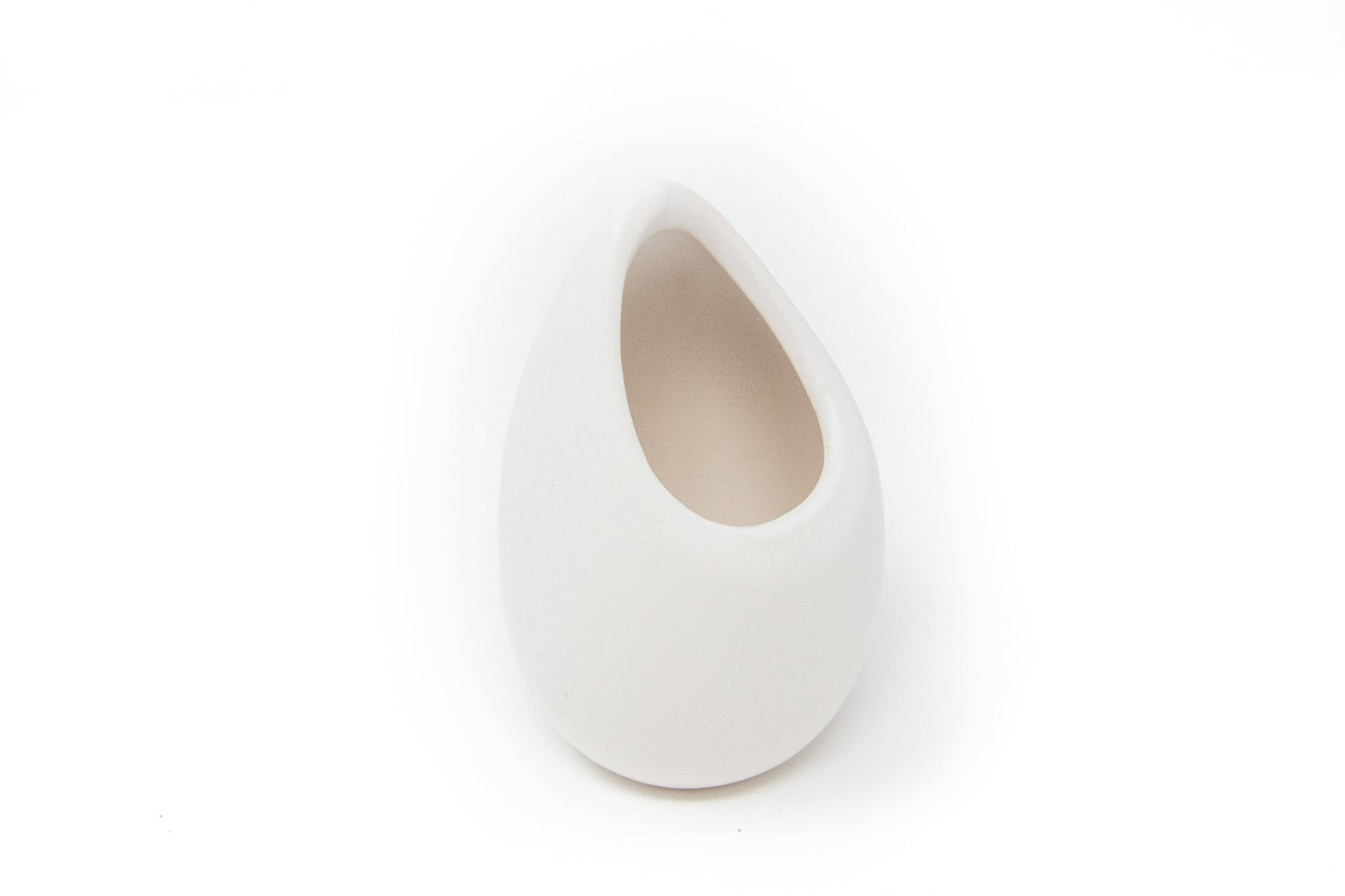 Small Ivory Vase with Red Abdita,Velutina,Medusae Air Plants