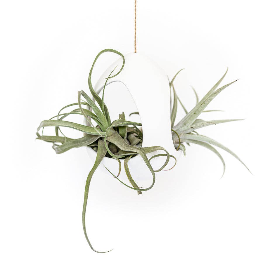 Large White Ceramic Hanging Pod