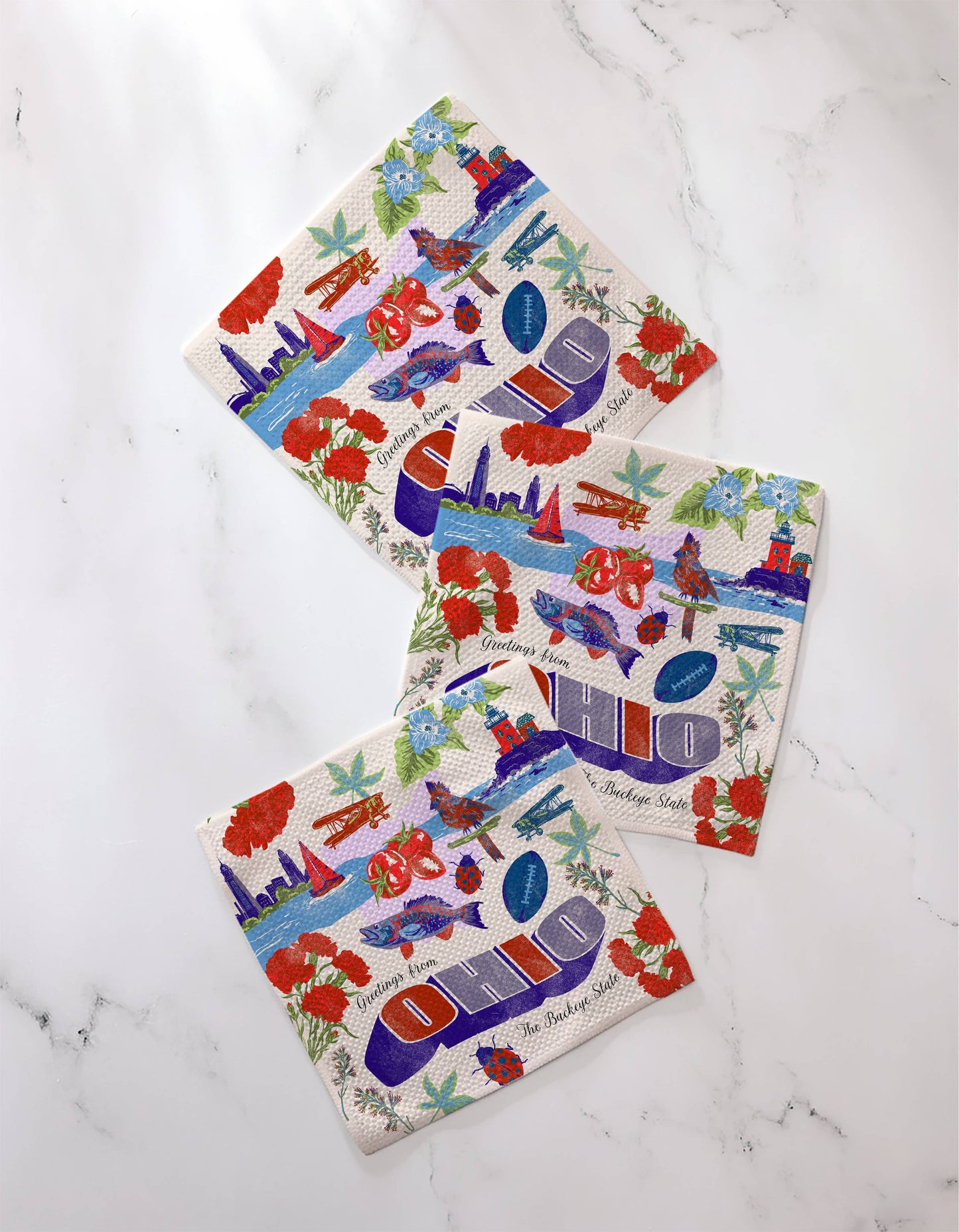 Greetings From Ohio Dishcloth Set