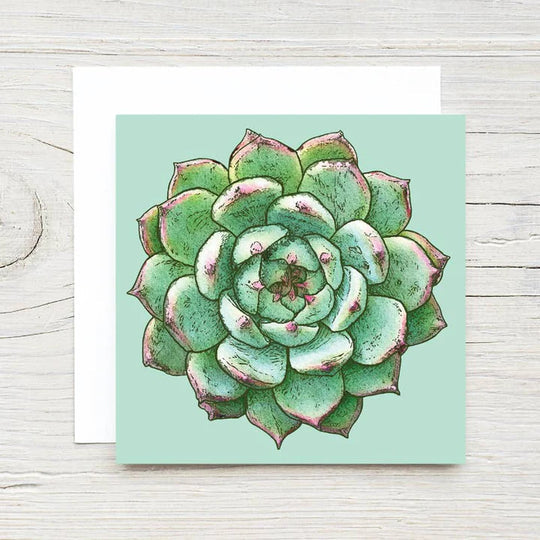 Succulent Enclosure Card