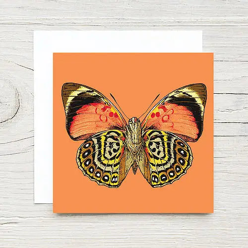 Butterfly Enclosure Card