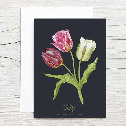 Tulip Greeting Card