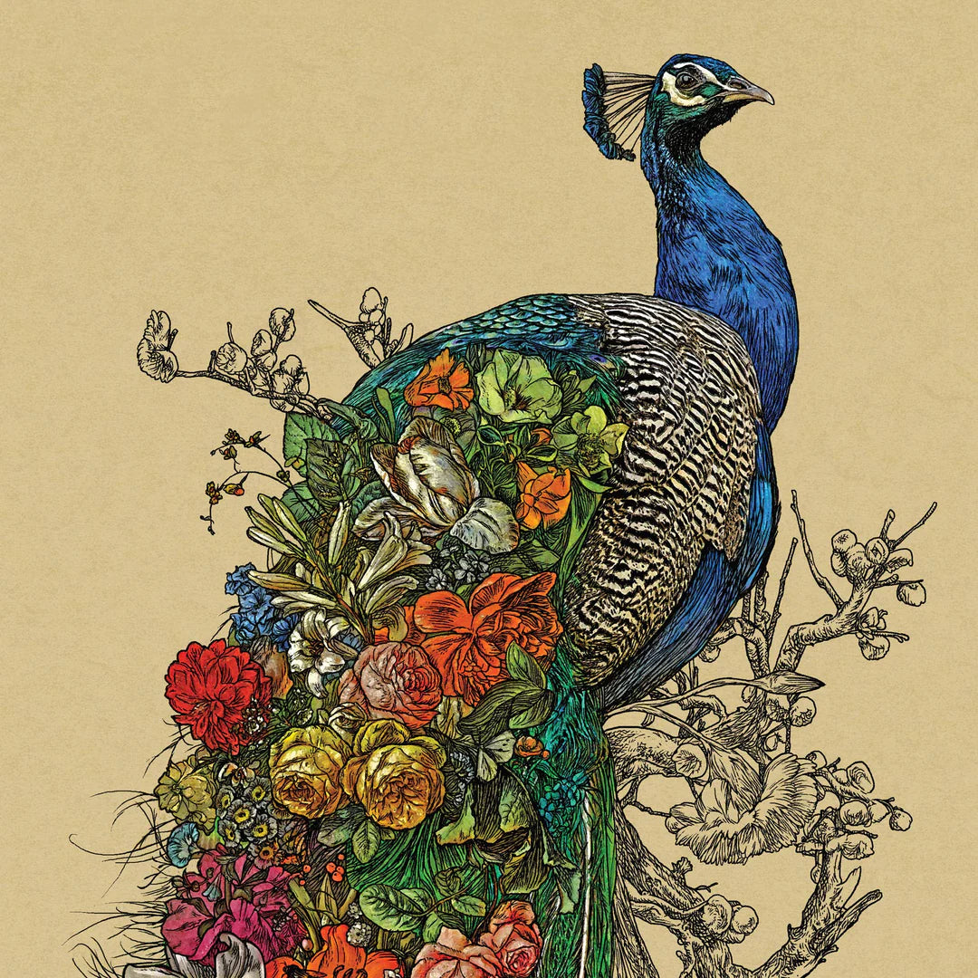 Peacock’s Garden Greeting Card