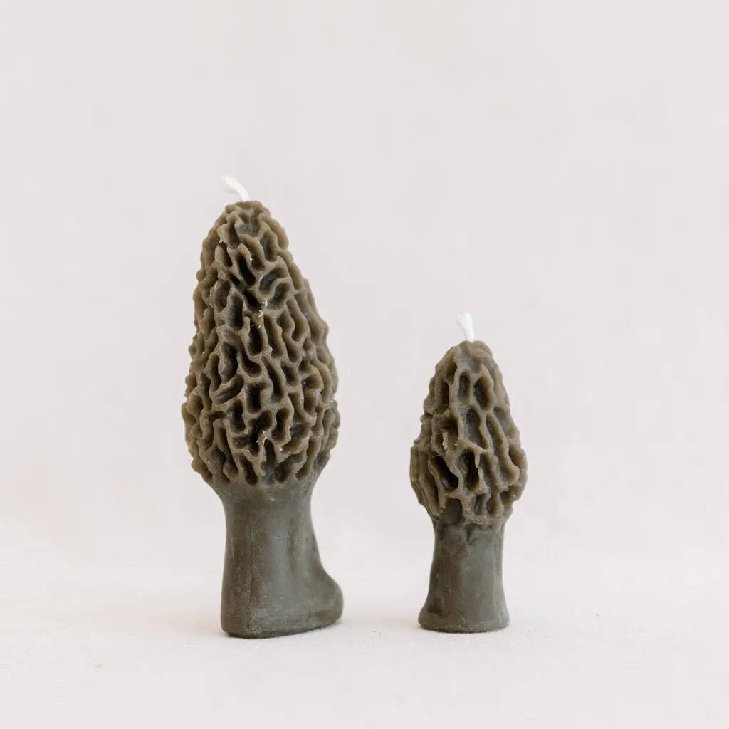 Beeswax Morel Mushroom Candle 2-pack