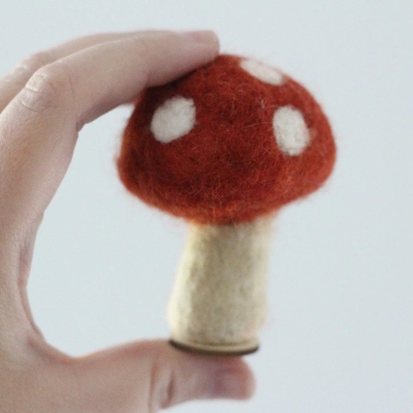 Felted Wool Mushrooms