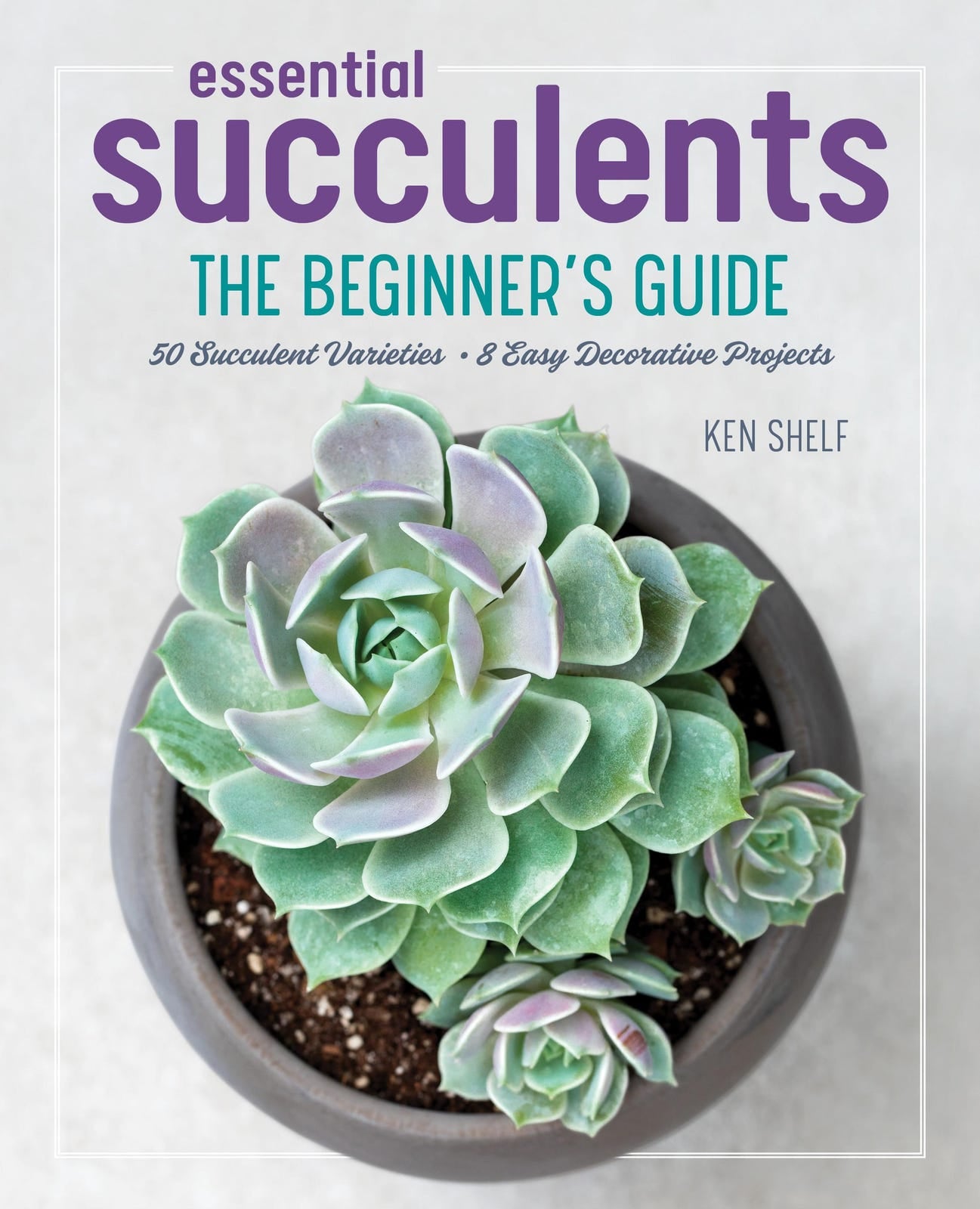 Essential Succulents: The Beginner’s Guide