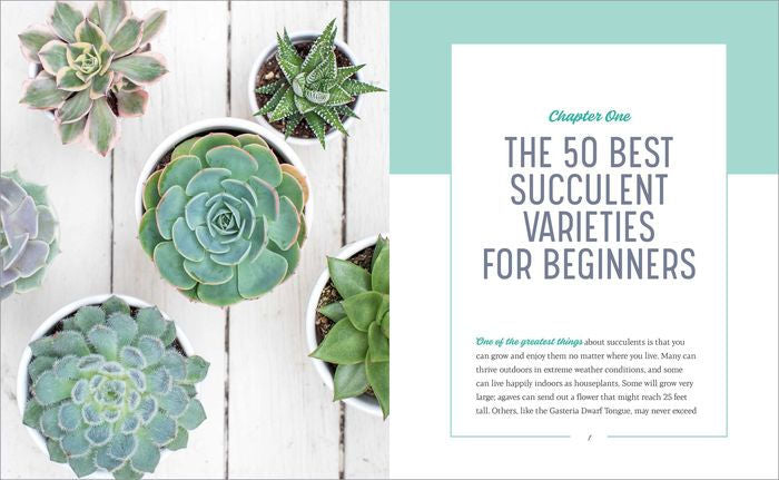 Essential Succulents: The Beginner’s Guide