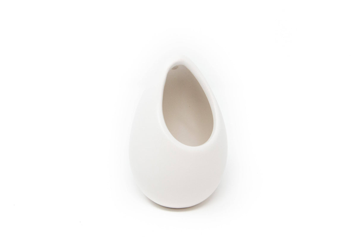 Large Ivory Ceramic Container with Air Plant