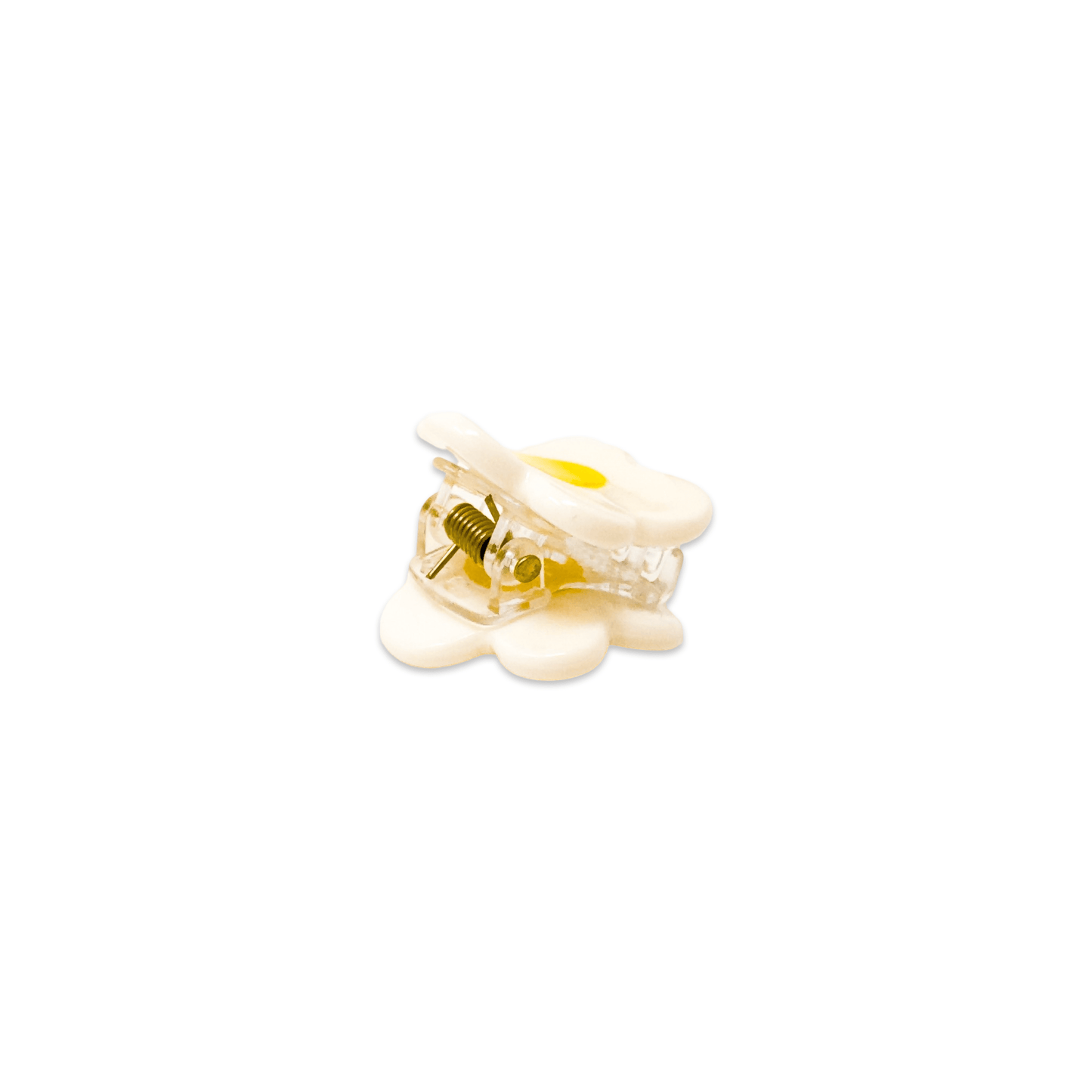 Micro Fruit and Flowers Hair Claw Clip Set