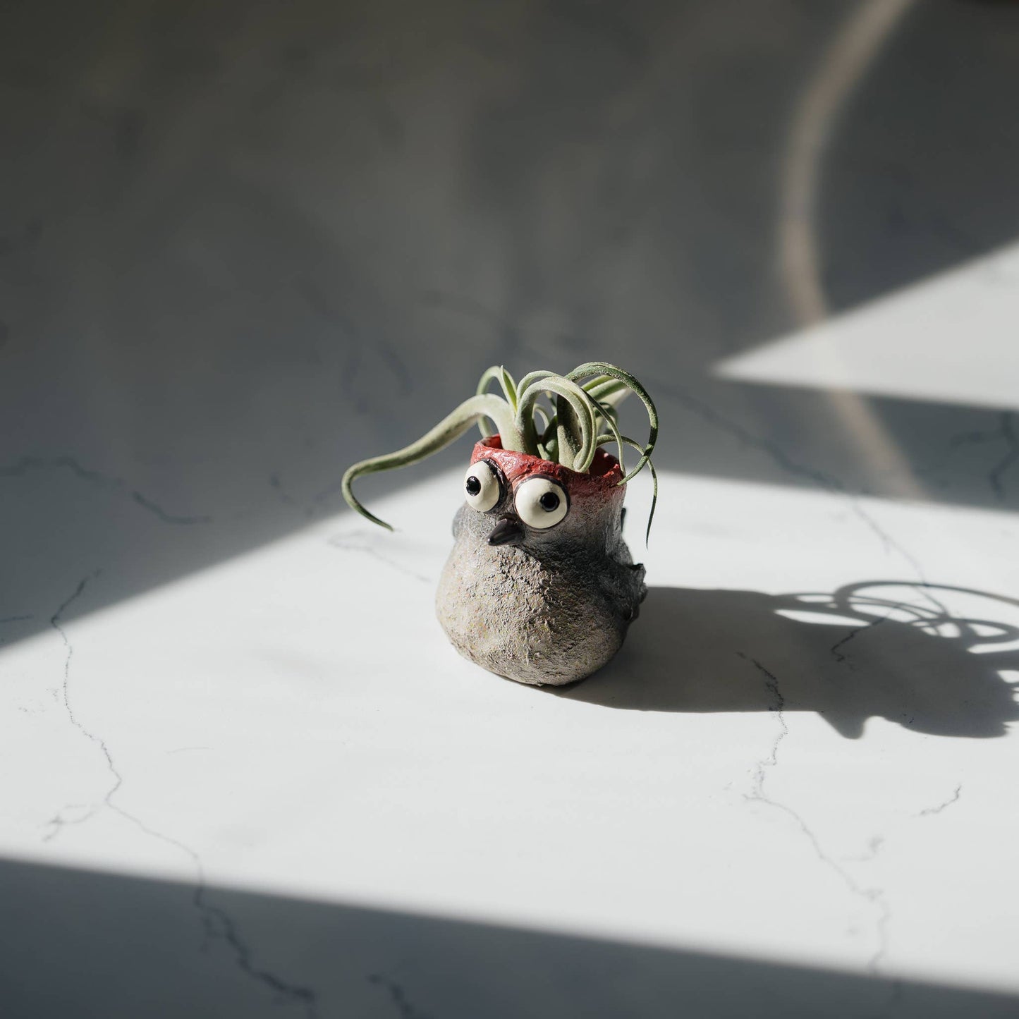 Winnie the Baby Woodpecker Mini Blobhouse Planter