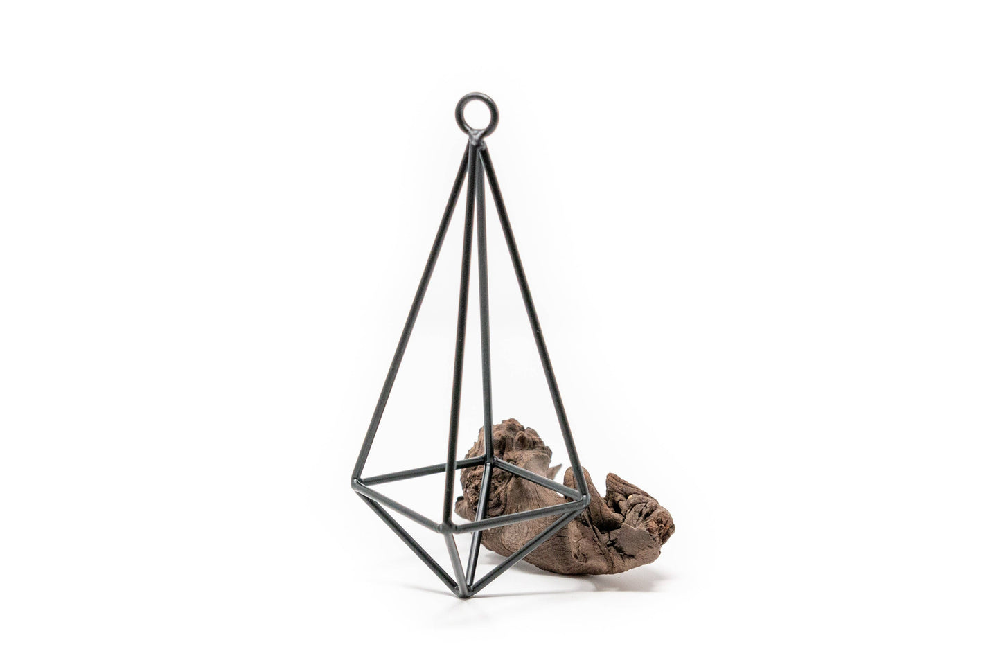 Hanging Metal Pendants with Tillandsia Air Plant