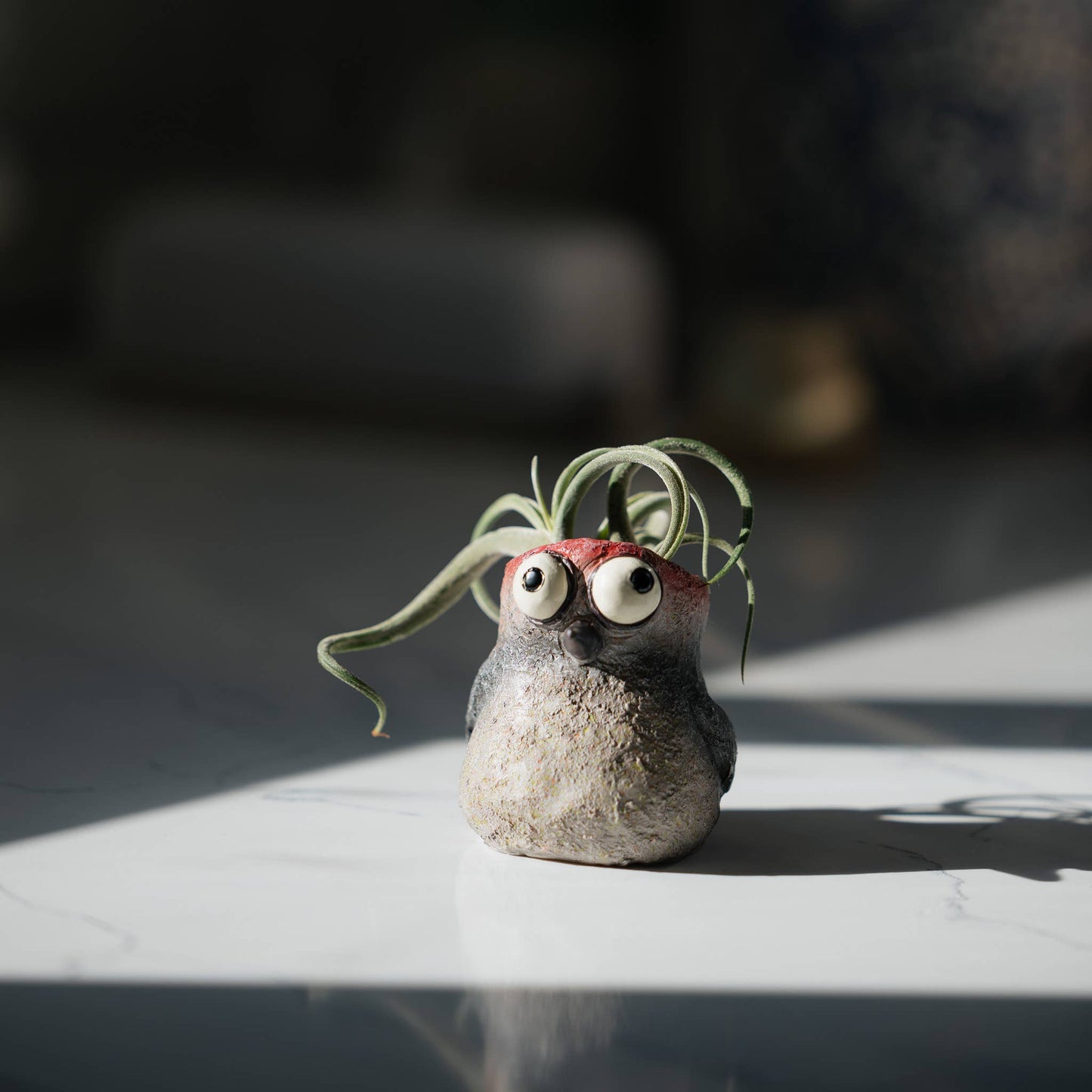 Winnie the Baby Woodpecker Mini Blobhouse Planter
