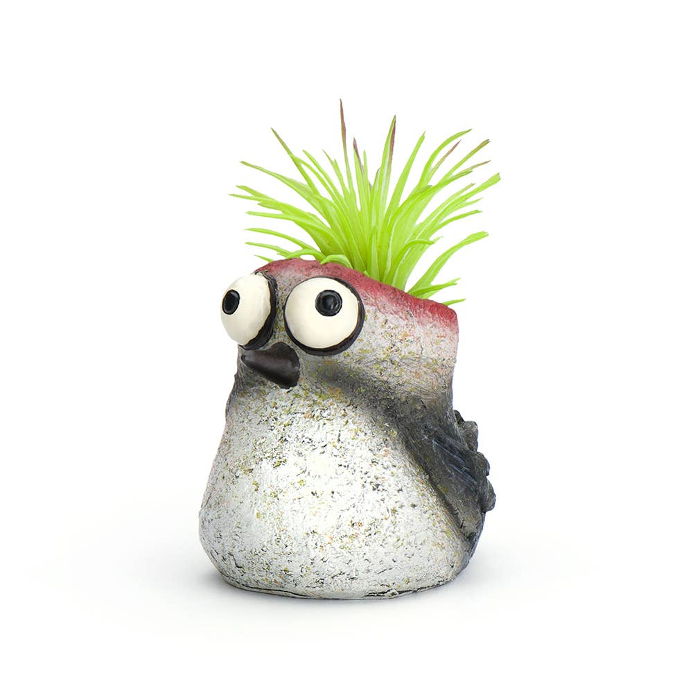 Winnie the Baby Woodpecker Mini Blobhouse Planter