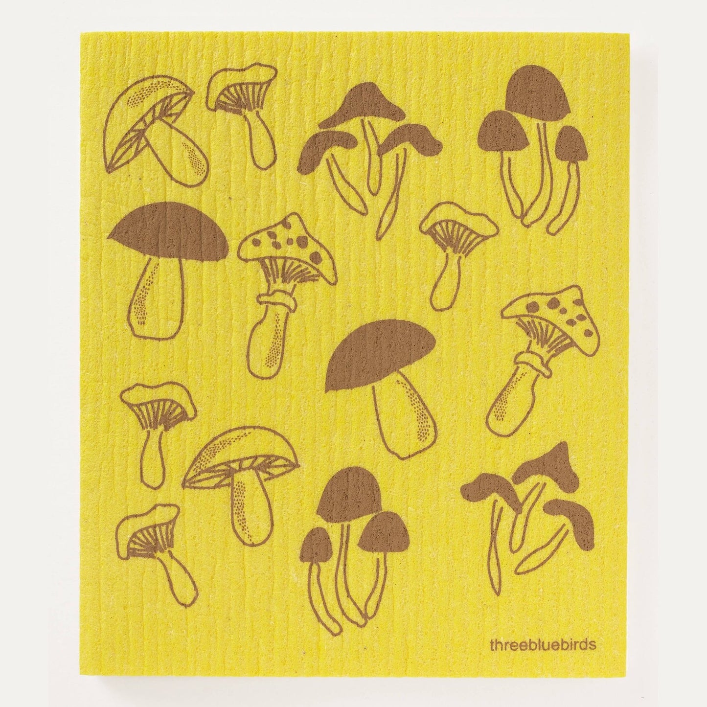 Fungi on Yellow Swedish Dishcloth